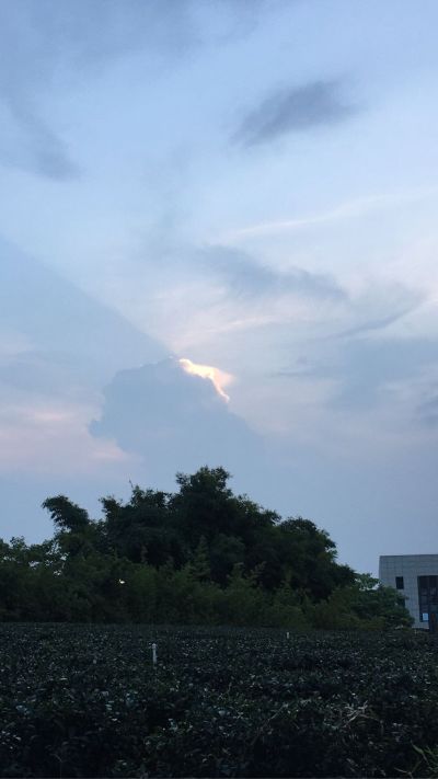 餐饮房产销售无