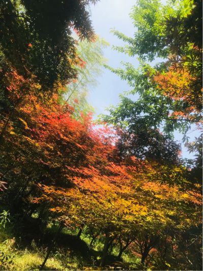 装铝合金门窗门窗玻璃胶