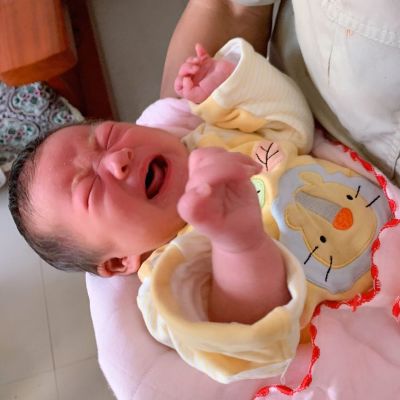 木工壁布
