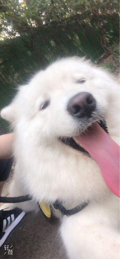 运营销售管理