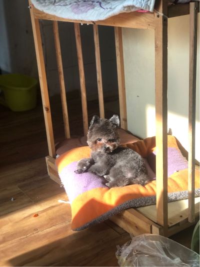 木工活电脑活
