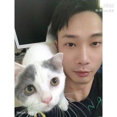 广告家具安装广告制作安装