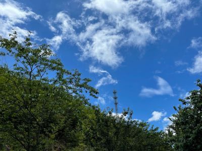 楼梯