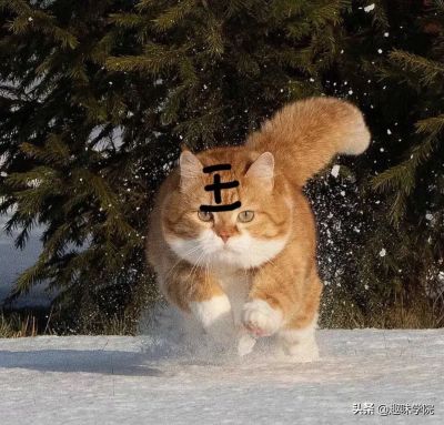 无