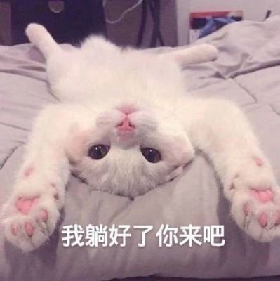 成品烟道
