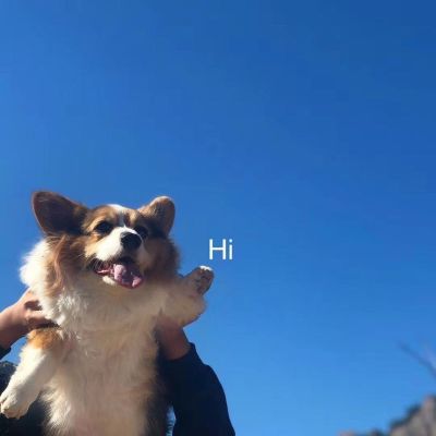 室内设计室内设计