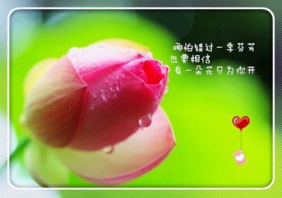 网络监控网络维修