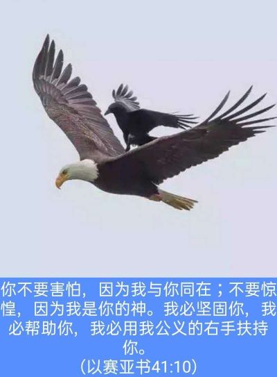 精密机械