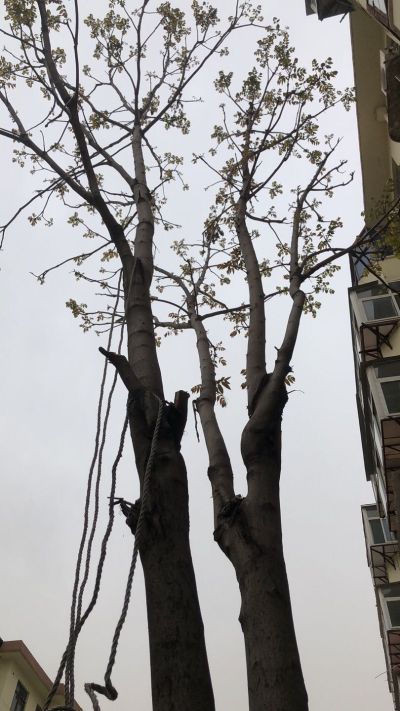 汽车不上五金锁具