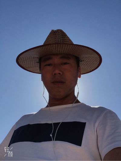 网络智能化无无无