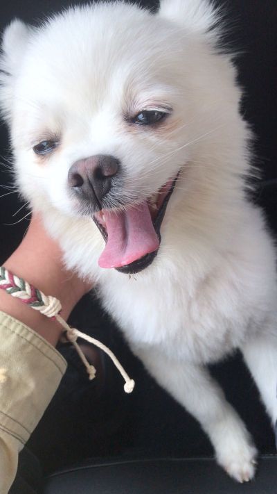 销售普工