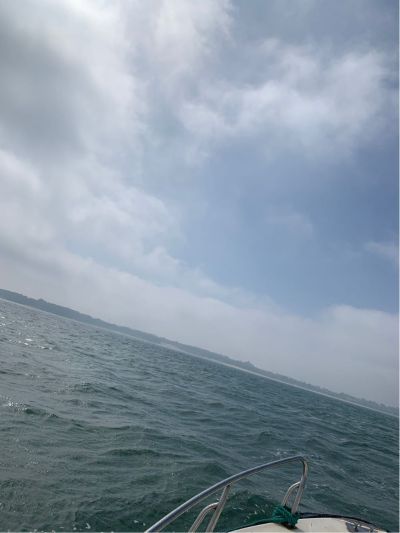各种