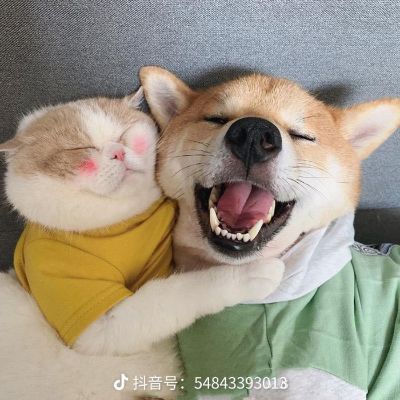 咋活
