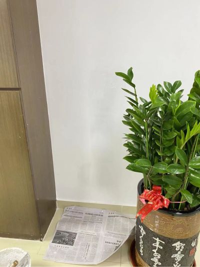 电工