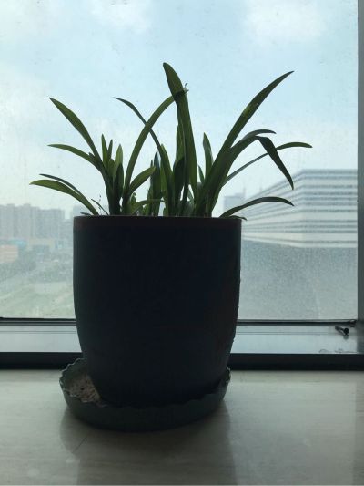 无任