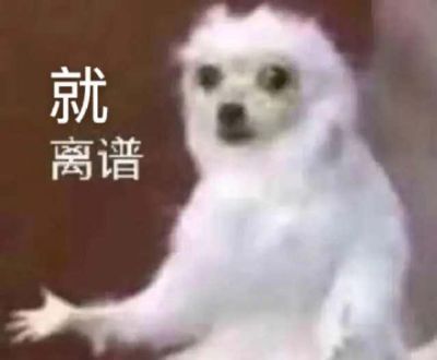 ssss