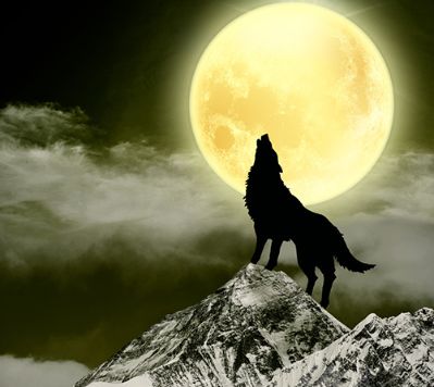 彩钢门窗黑狼彩钢门窗黑狼彩钢门窗