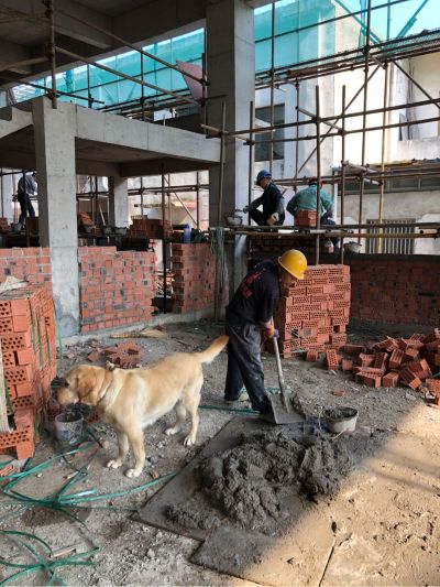 建筑施工建筑维修无