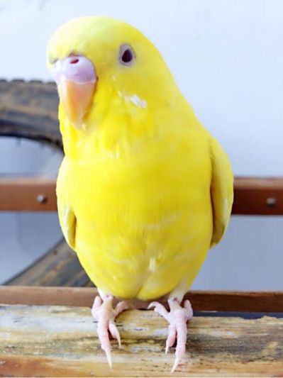 水暖安装