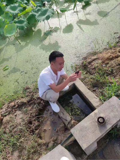 热水器净水