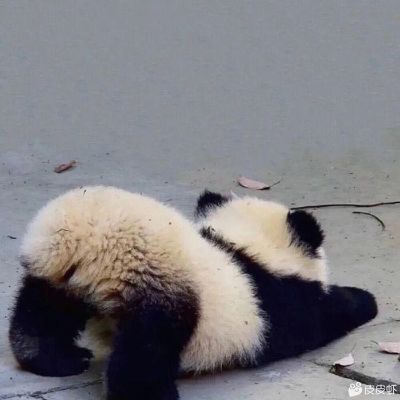无