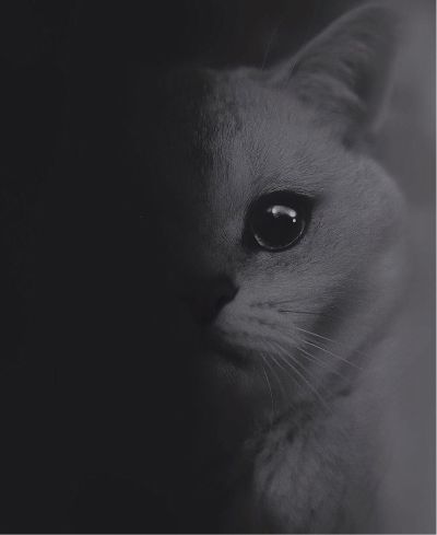无