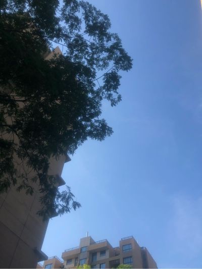 教育