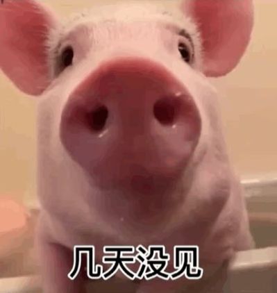 沙发椅子床
