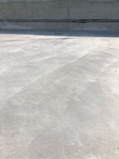 门类
