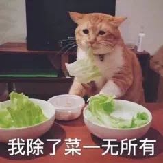 电控工程师电控工程师