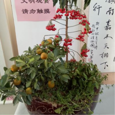 产品