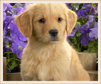 电脑网络电脑维修