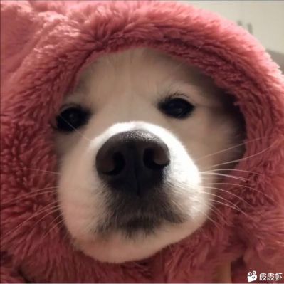 家具安装