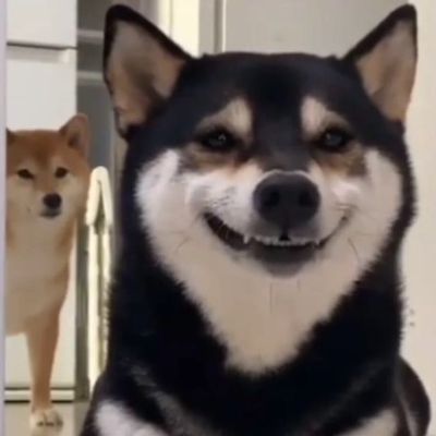 自由