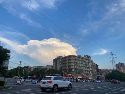 数据