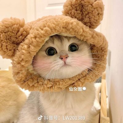 美宜佳