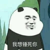 宠物