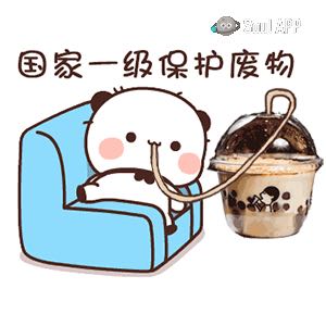 网络