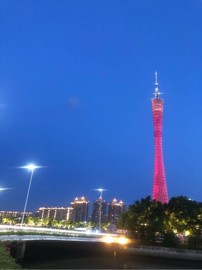 陪诊
