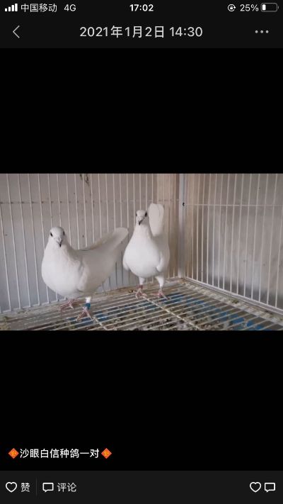 木工