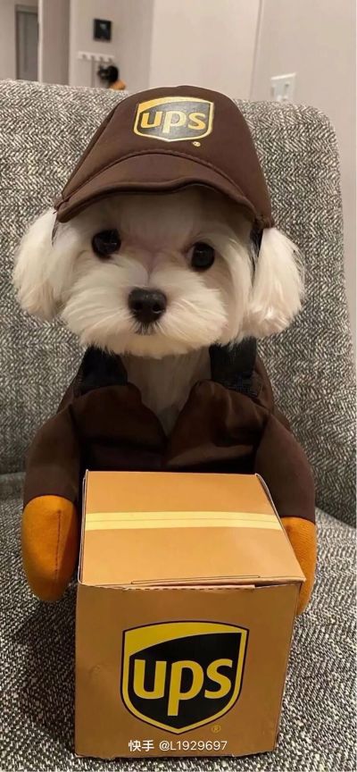 焊接
