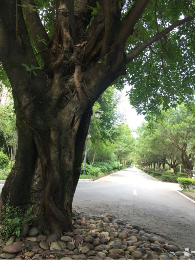 柜类
