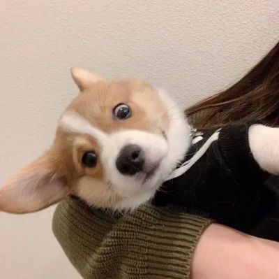 水电维修水电安装维修