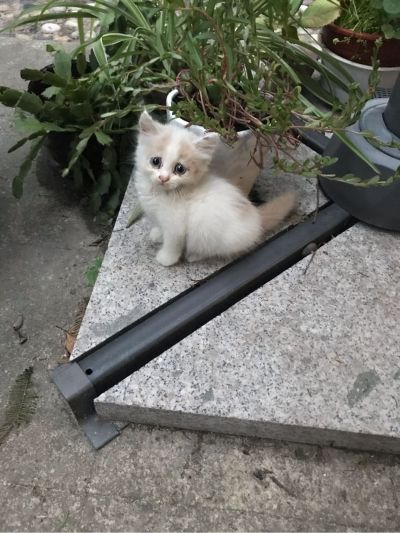 家装家居安装