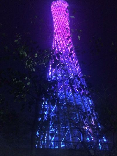 都问题专业做展柜专业做展柜专业做展柜