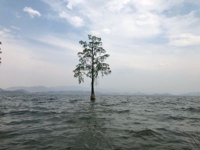 家具卫浴水电安装维修家具泥工贴砖水泥