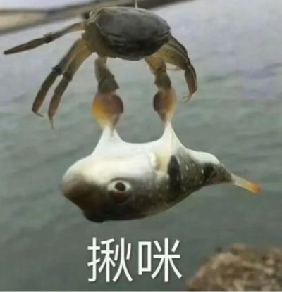 无