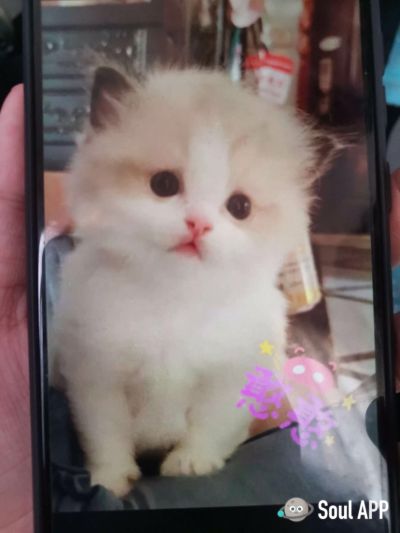 无拆墙拆地板