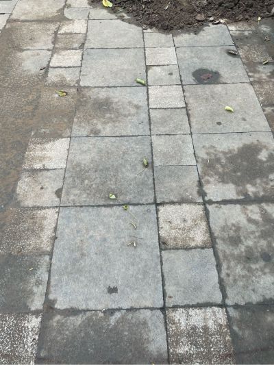 老板