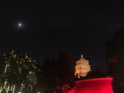 网络计算机